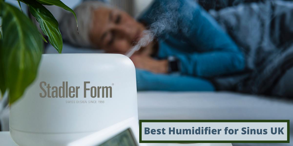 Best Humidifier for Sinus UK