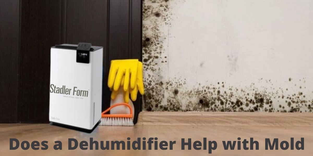 Does a Dehumidifier Help with Mold